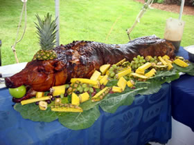 Pig with fruit on table